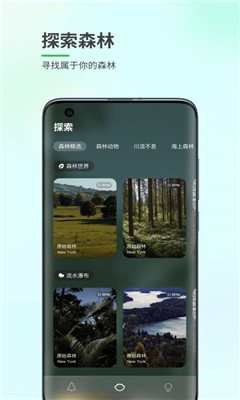 森林白噪音app安卓版下载